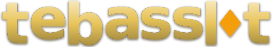 tebasslot logo